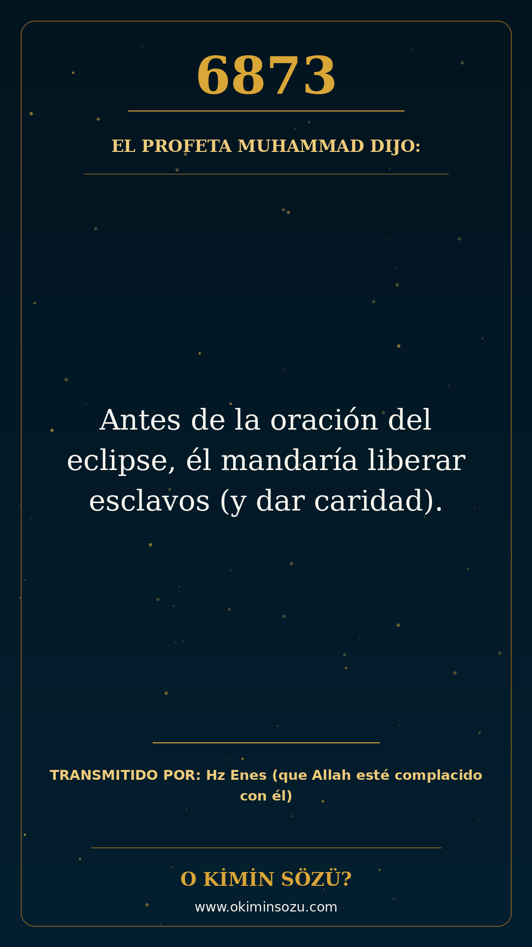 hadis 6873 es