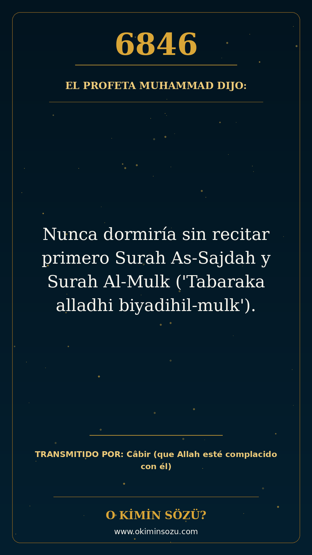 hadis 6846 es