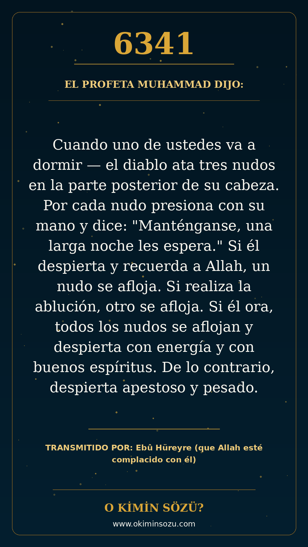 hadis 6341 es