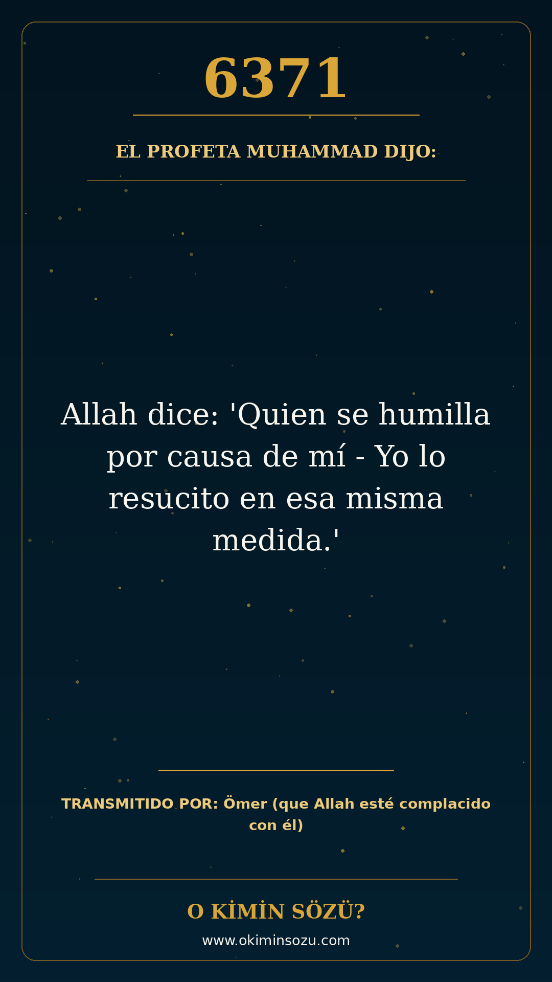 hadis 6371 es
