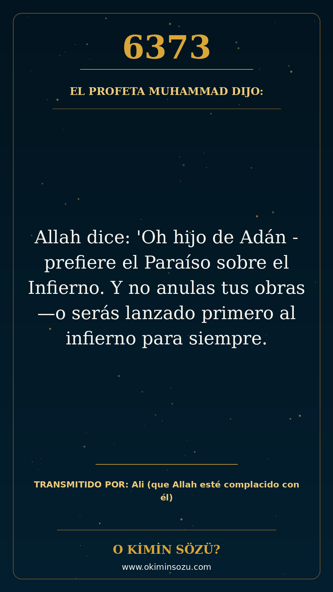 hadis 6373 es