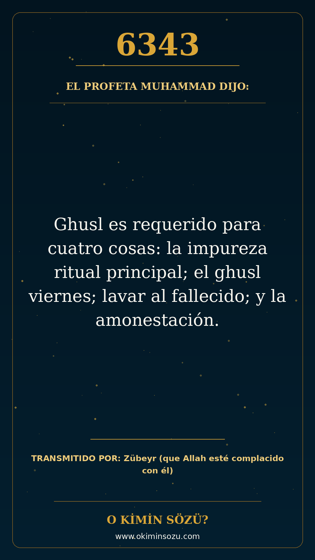 hadis 6343 es