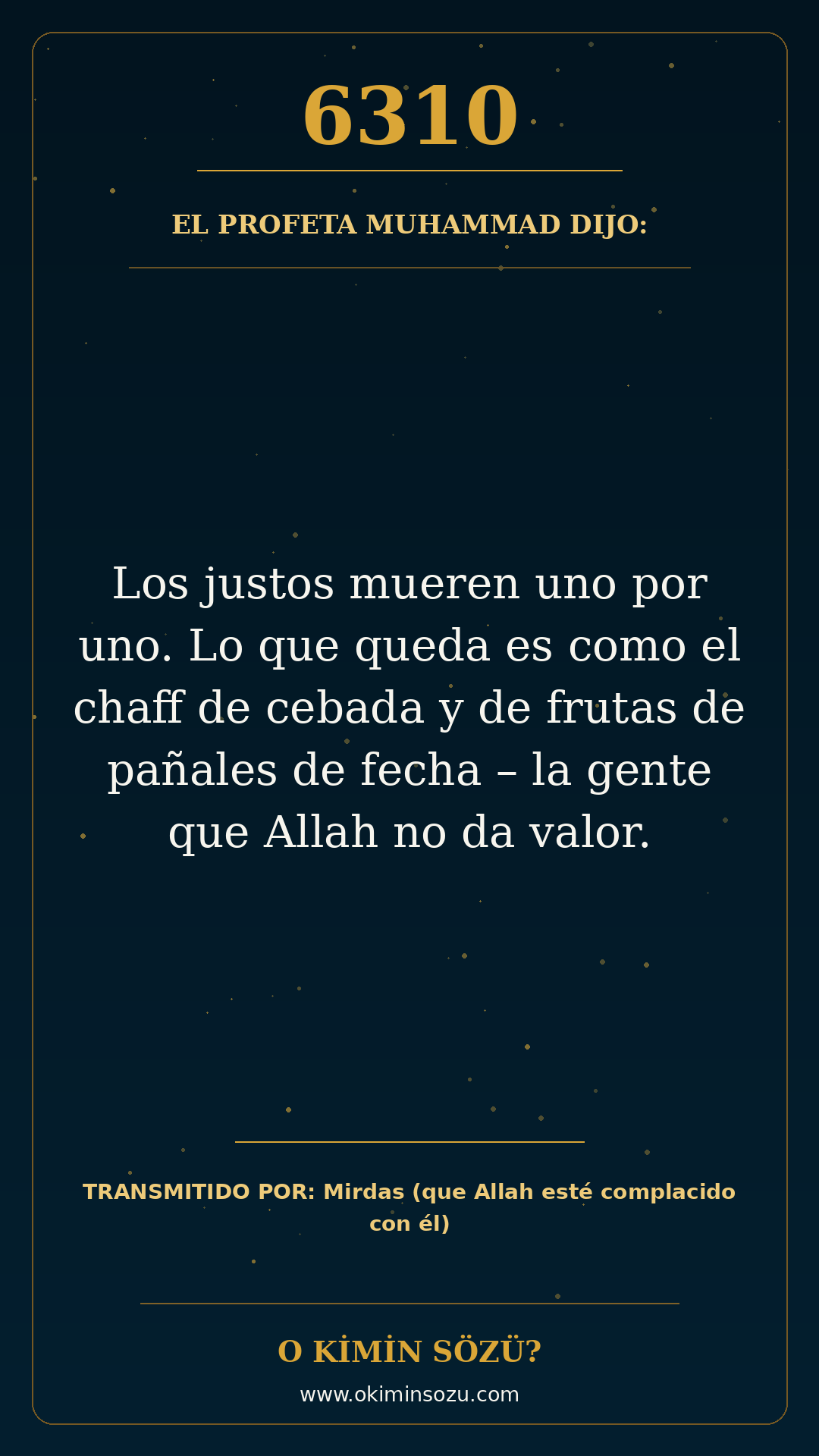 hadis 6310 es
