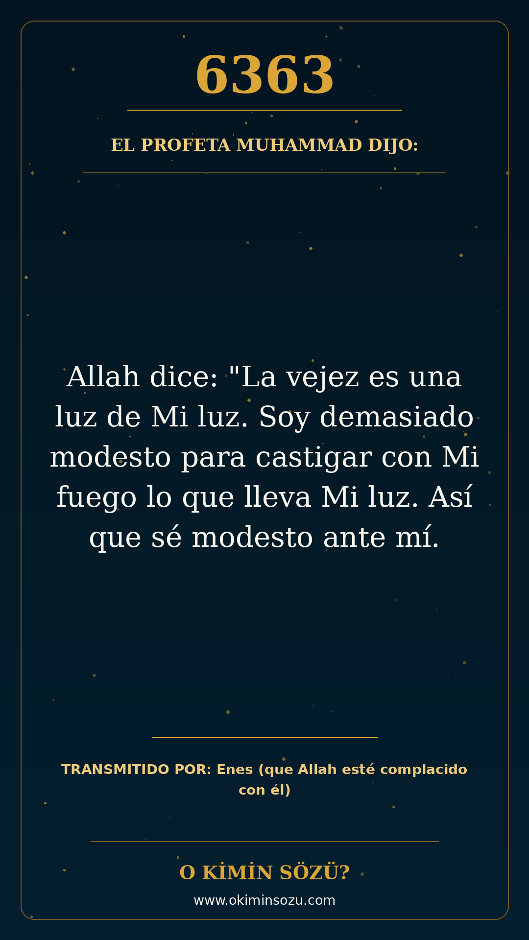 hadis 6363 es