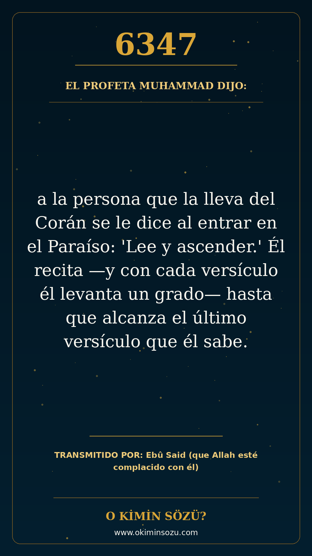hadis 6347 es