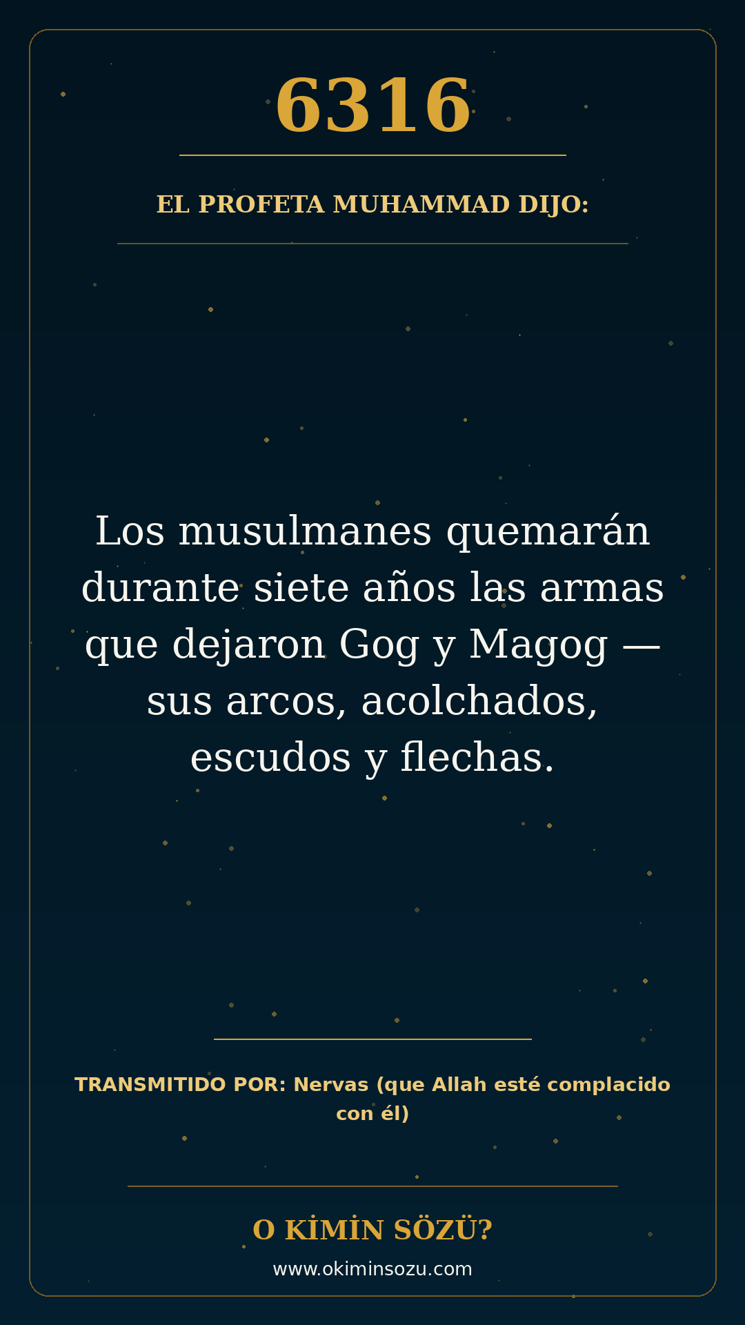 hadis 6316 es