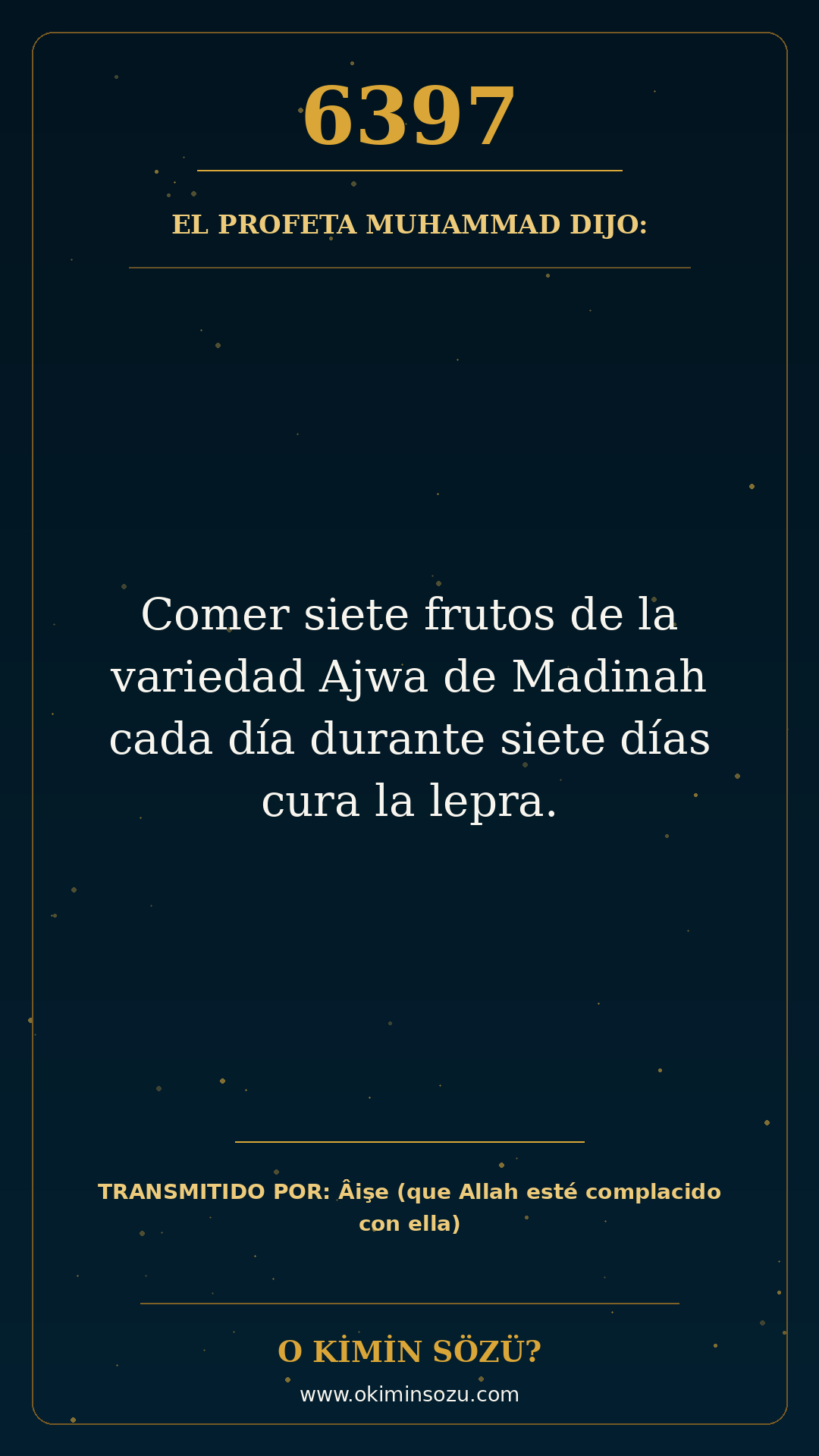 hadis 6397 es