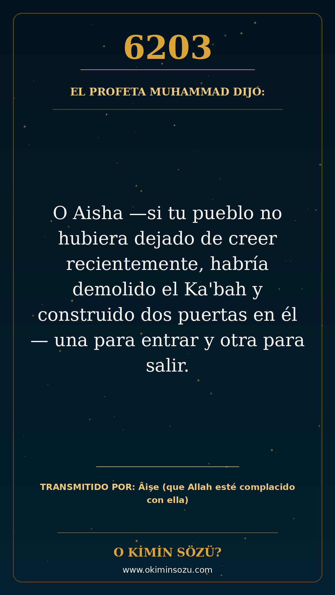 hadis 6203 es