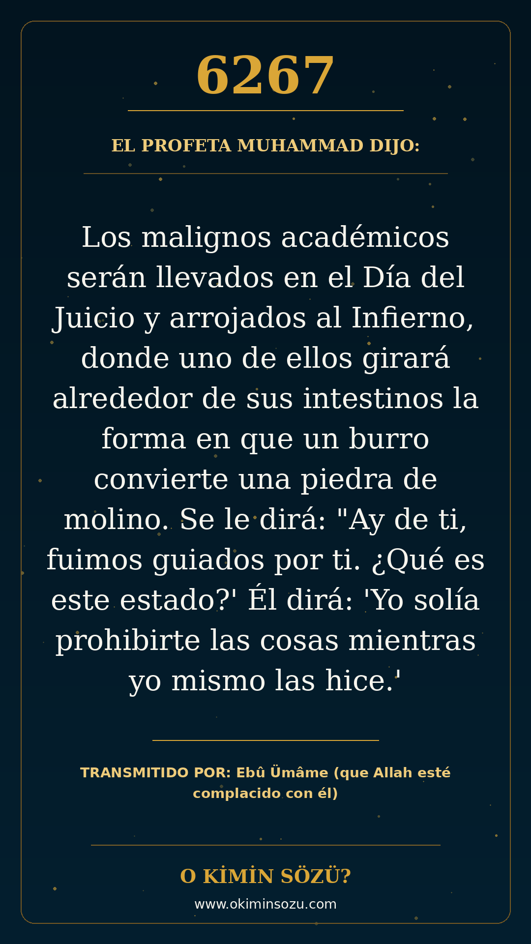hadis 6267 es