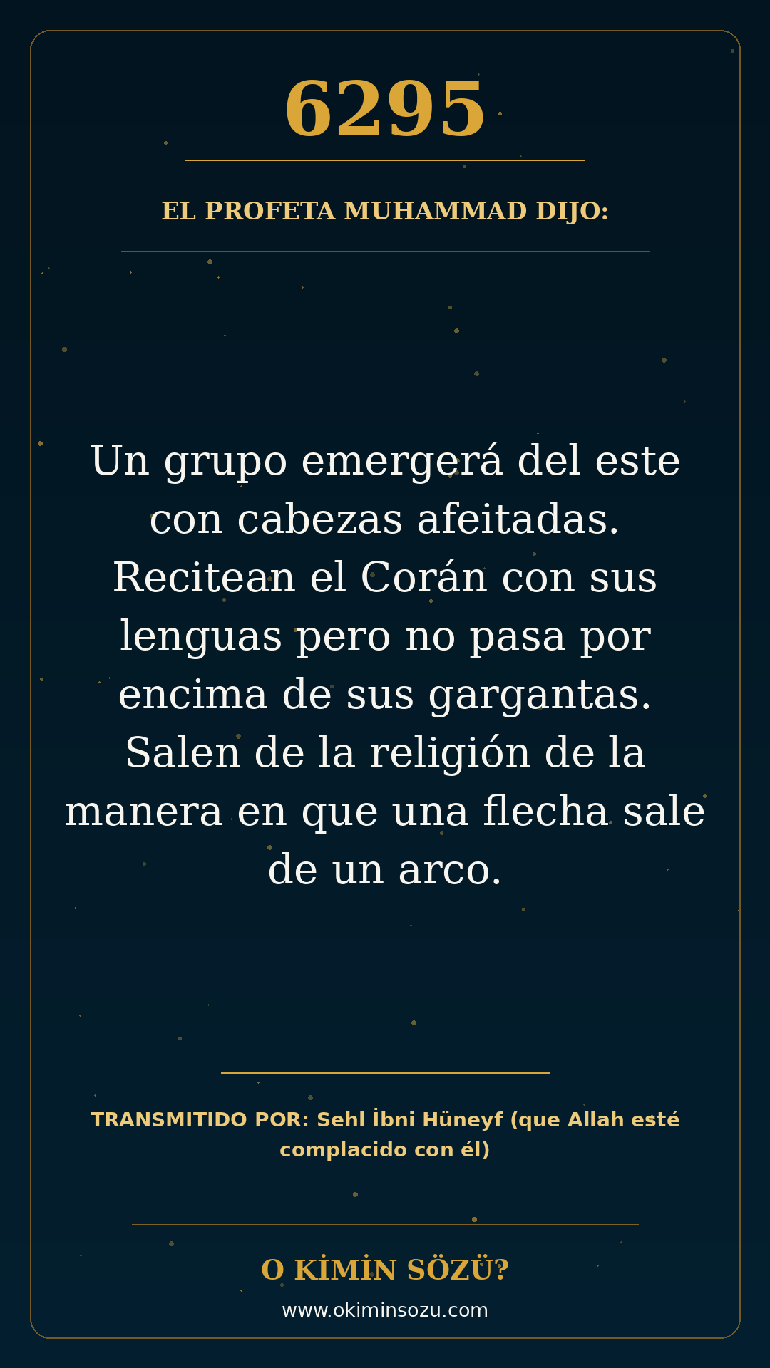 hadis 6295 es