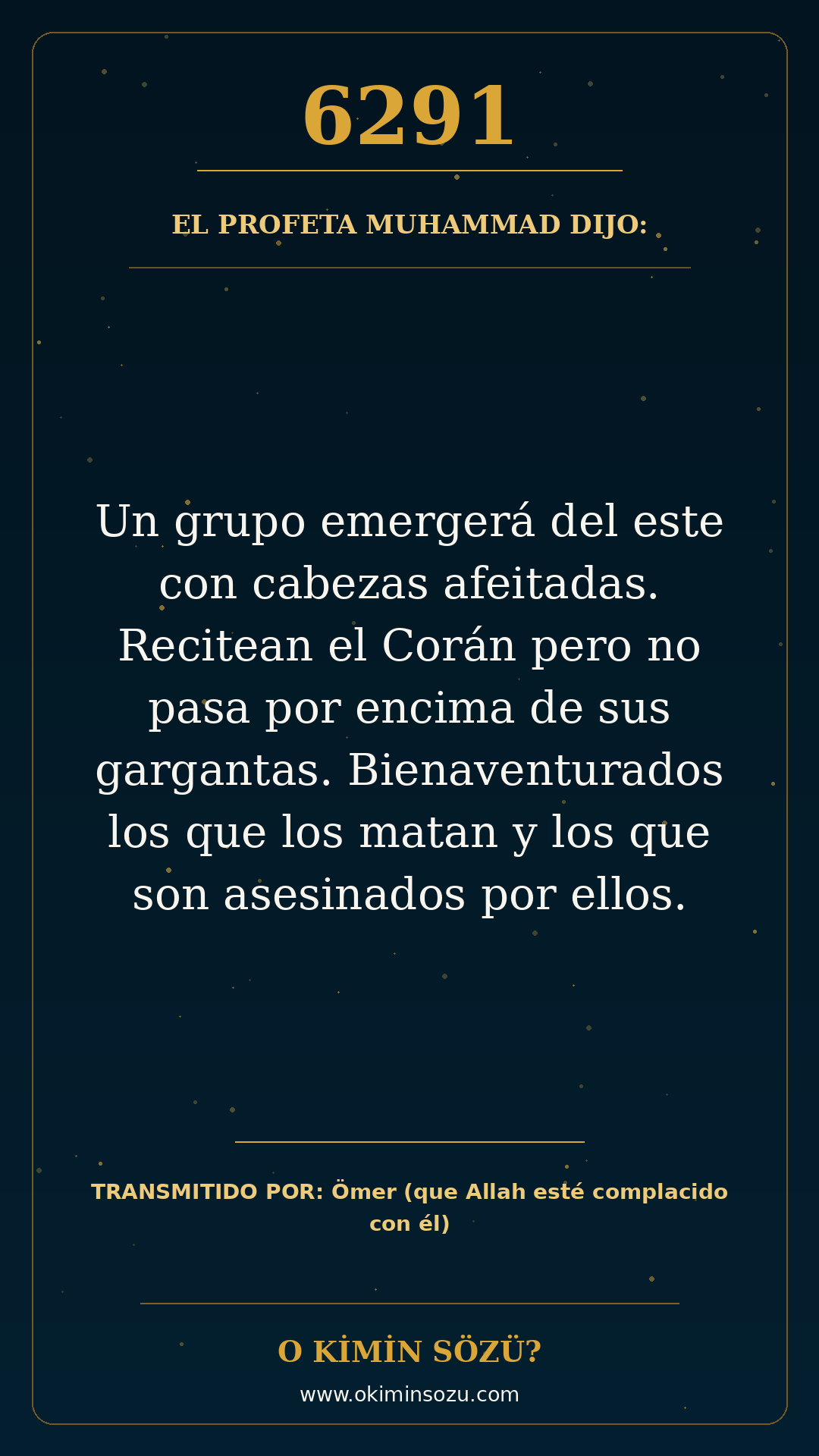 hadis 6291 es