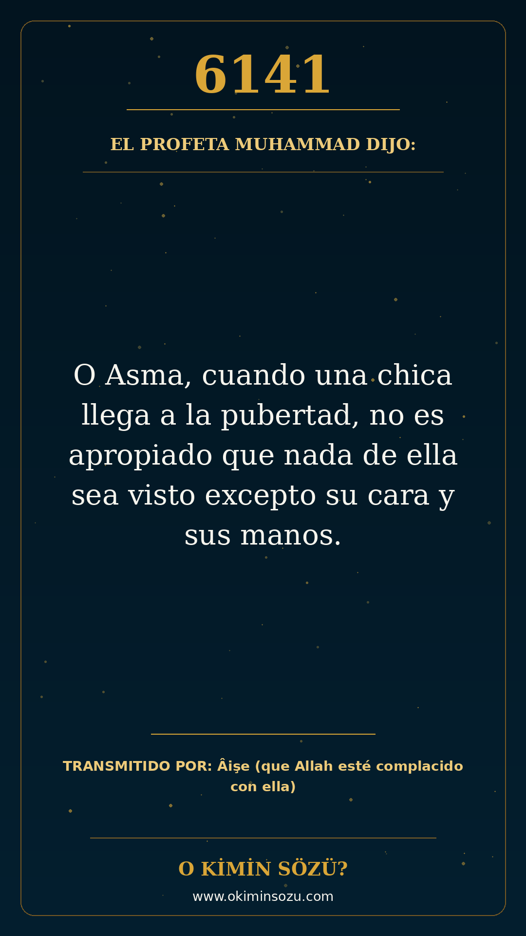 hadis 6141 es