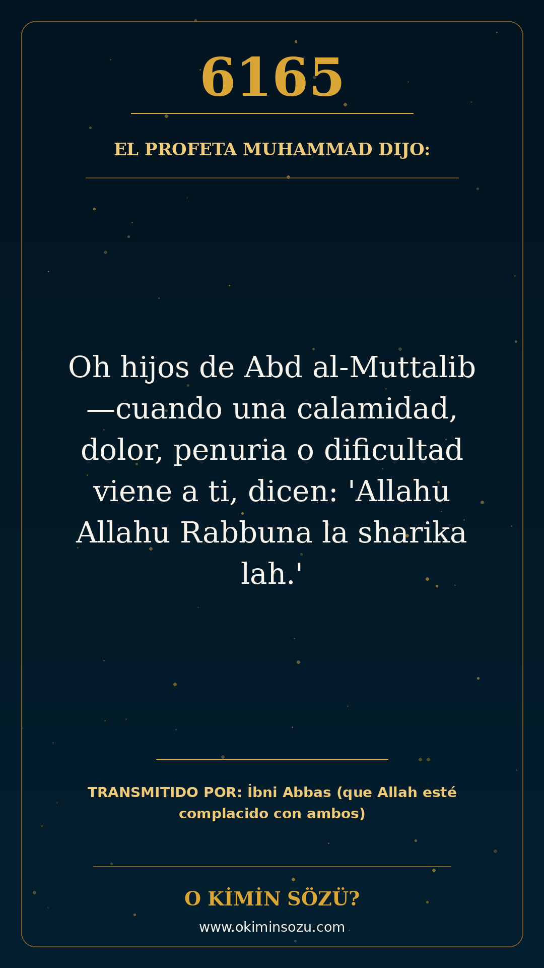 hadis 6165 es