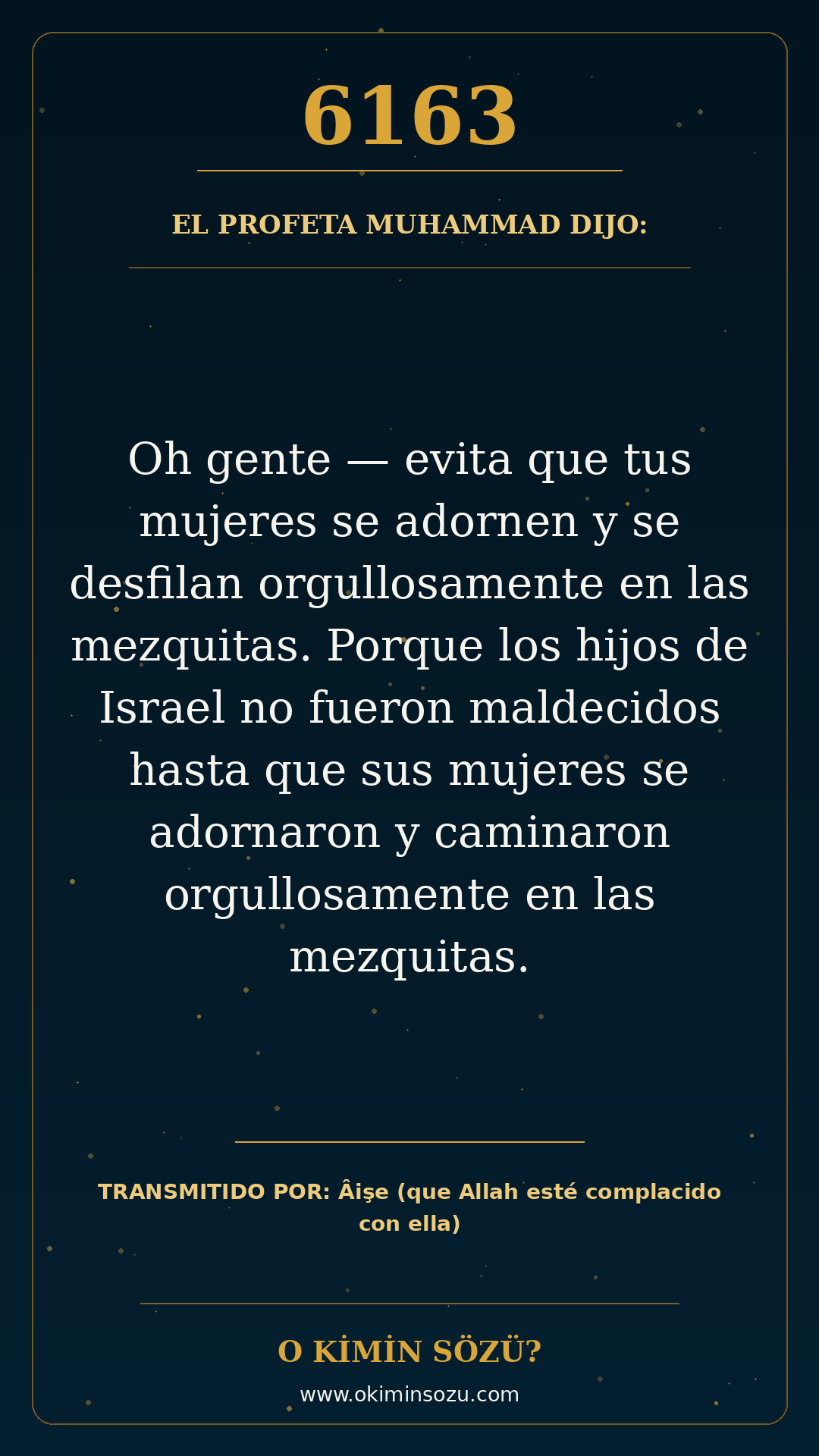 hadis 6163 es