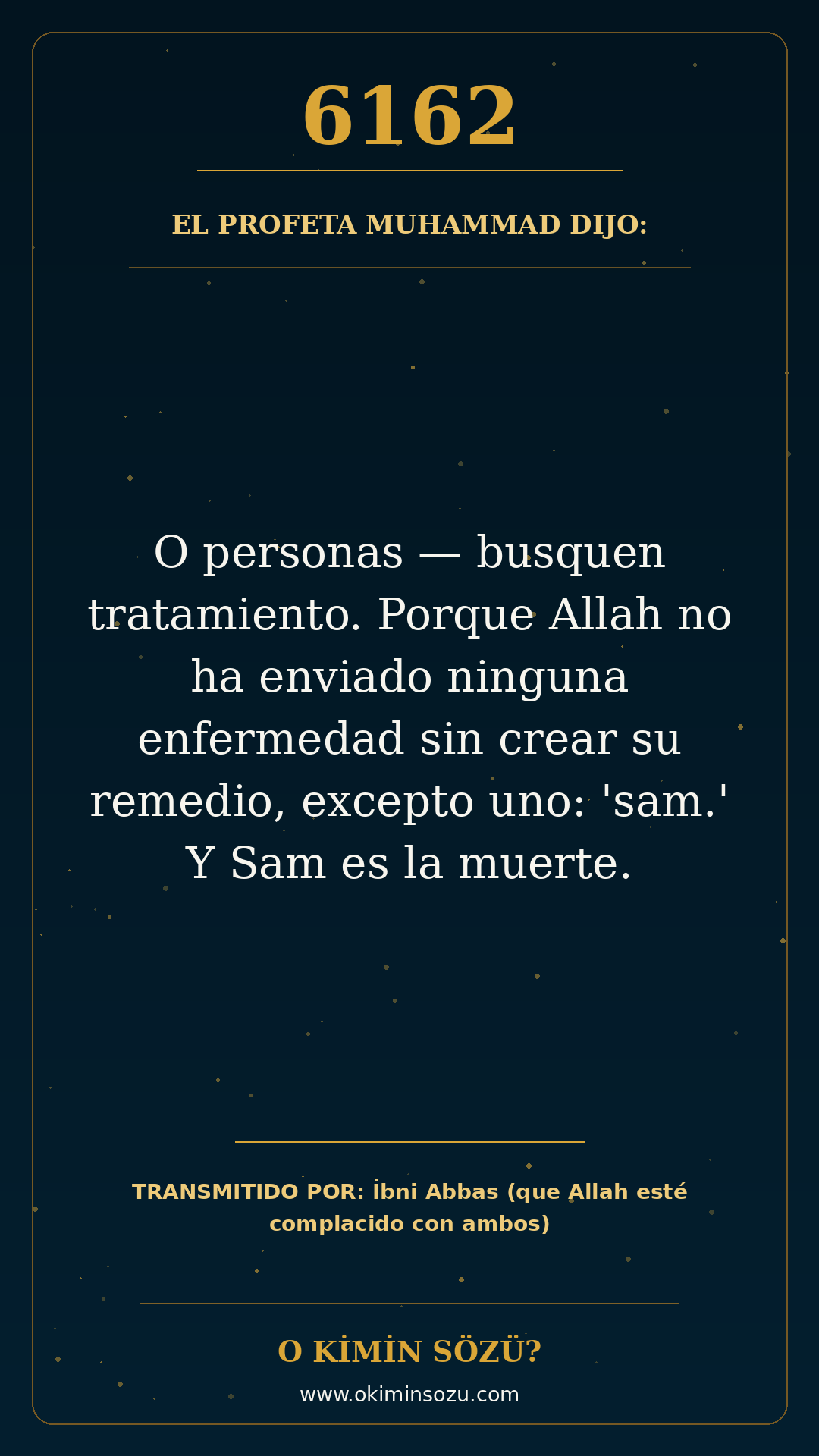 hadis 6162 es