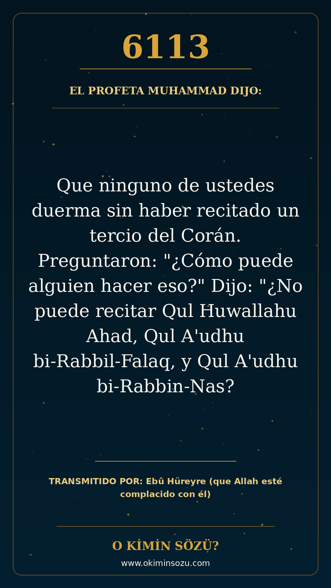 hadis 6113 es
