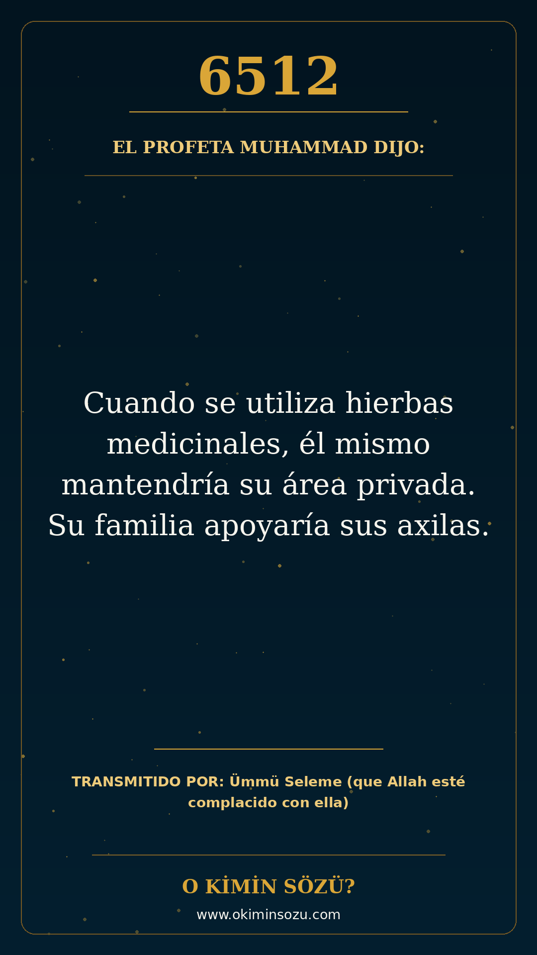 hadis 6512 es