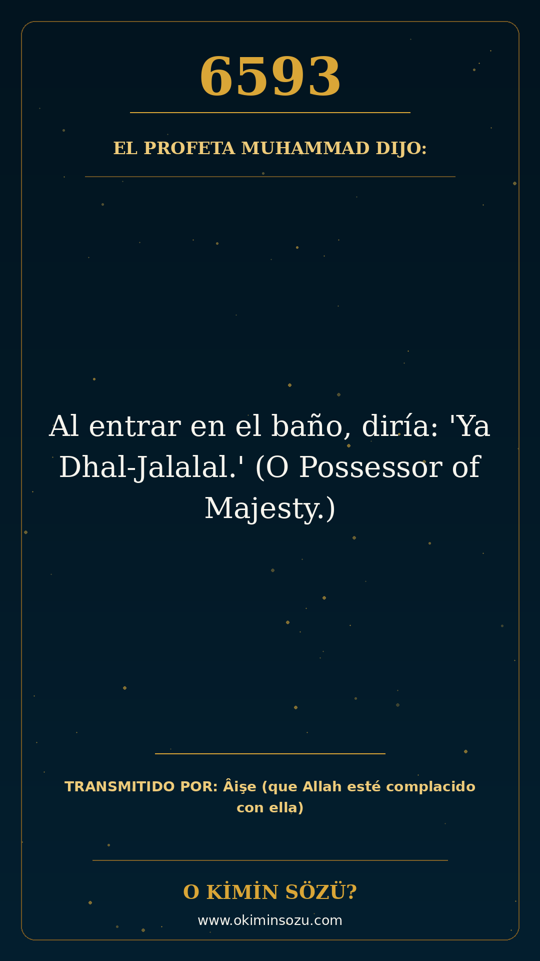 hadis 6593 es