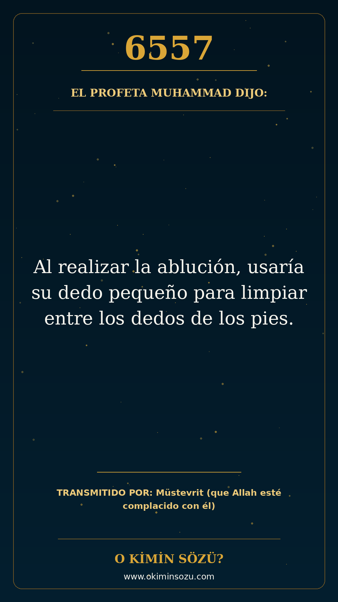 hadis 6557 es