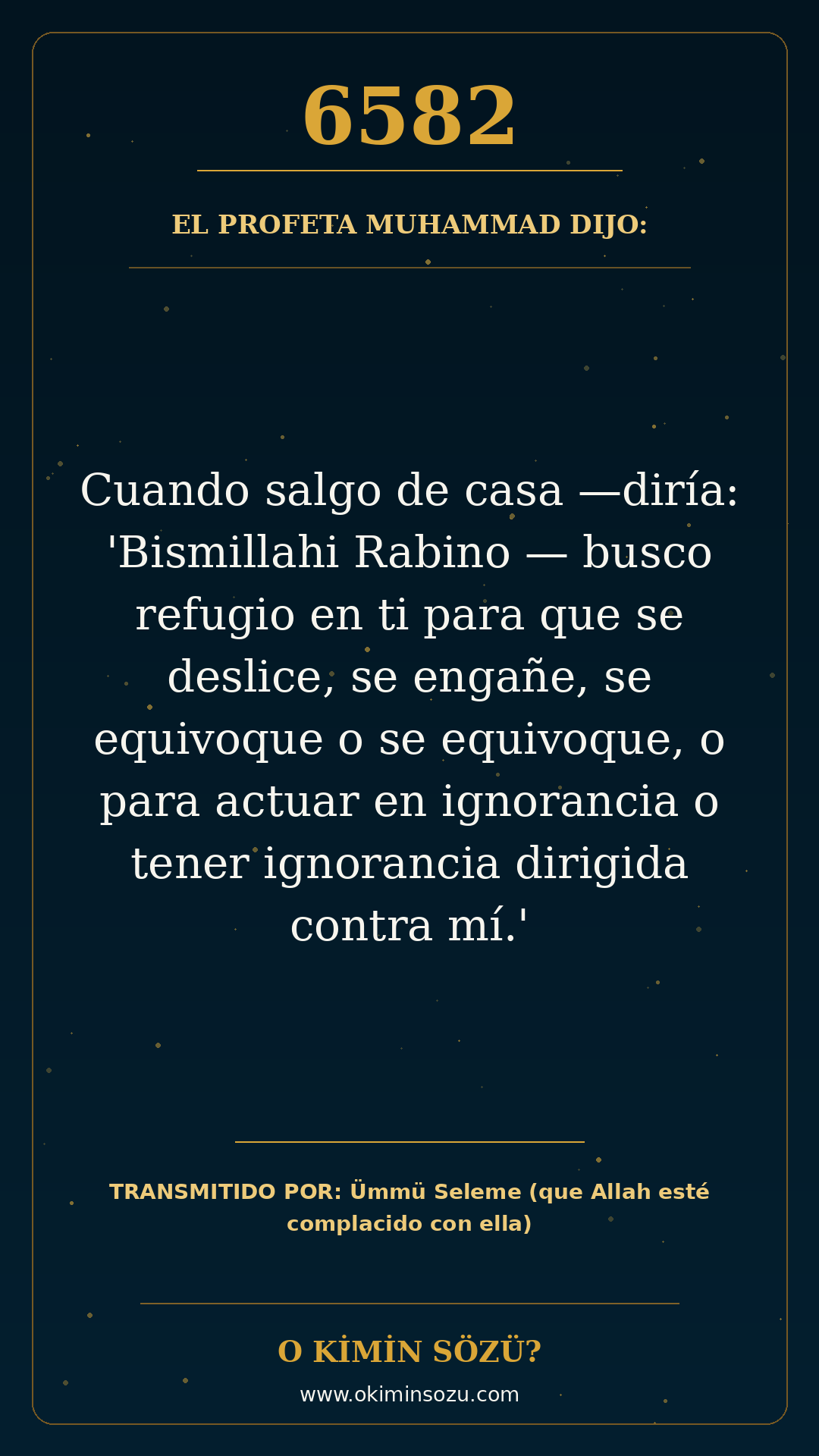 hadis 6582 es