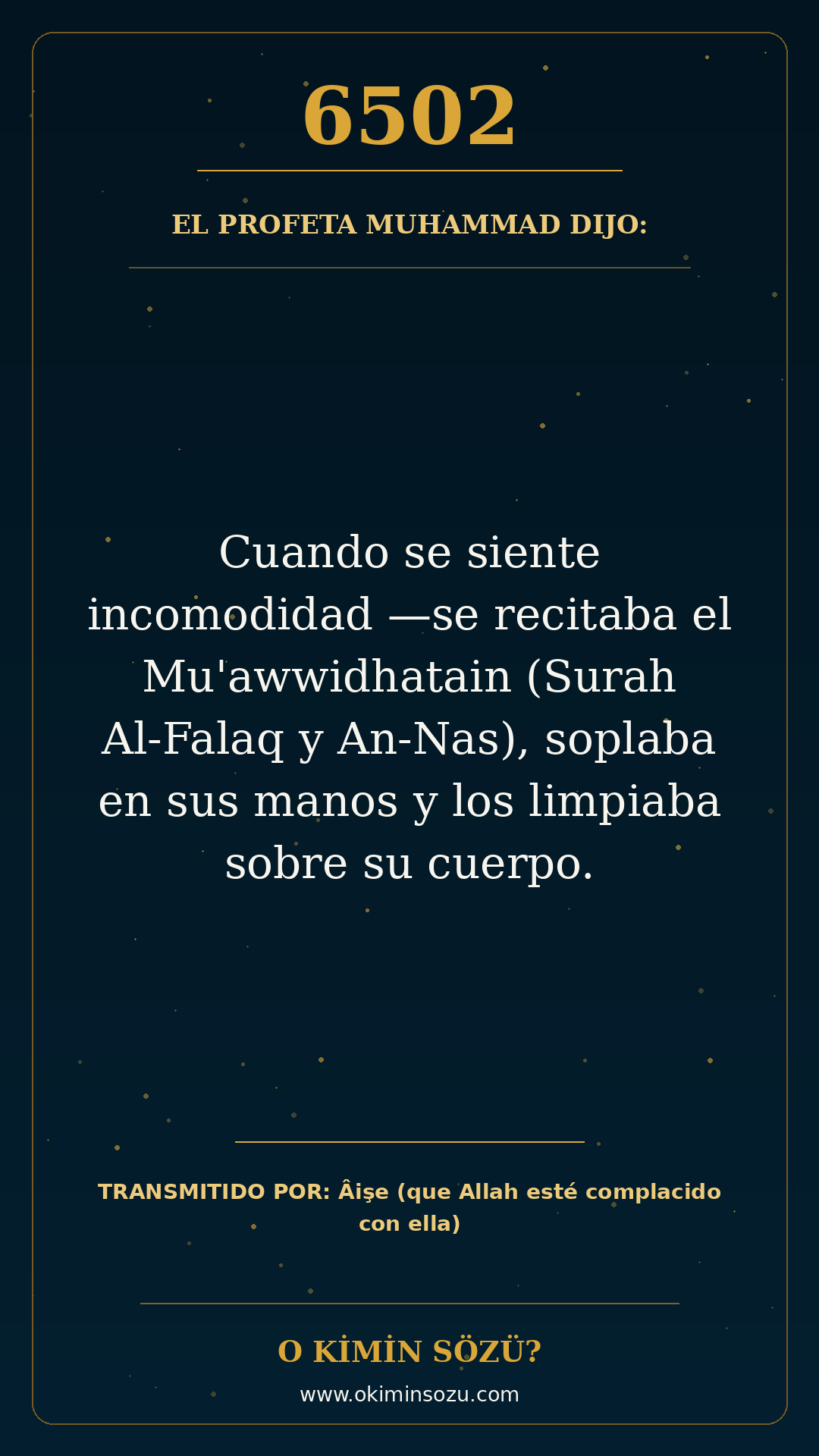 hadis 6502 es