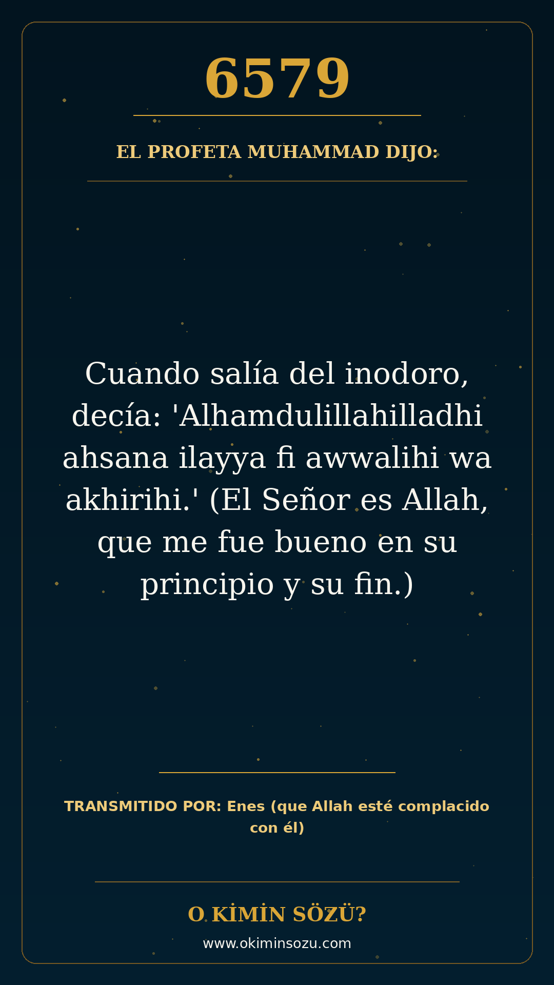hadis 6579 es