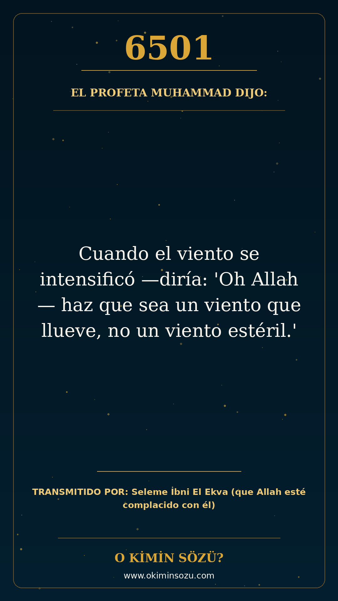 hadis 6501 es