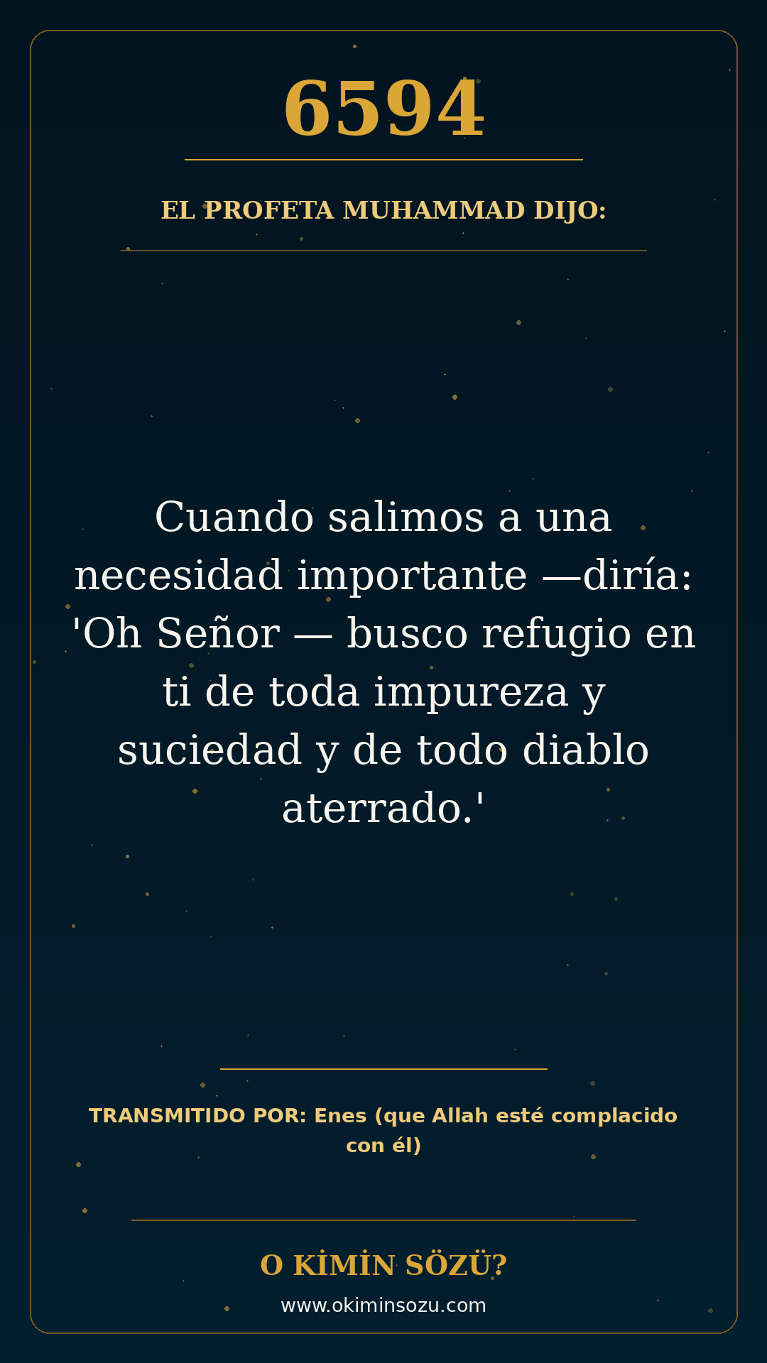 hadis 6594 es