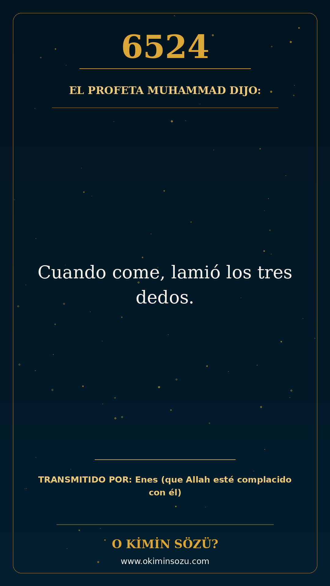 hadis 6524 es