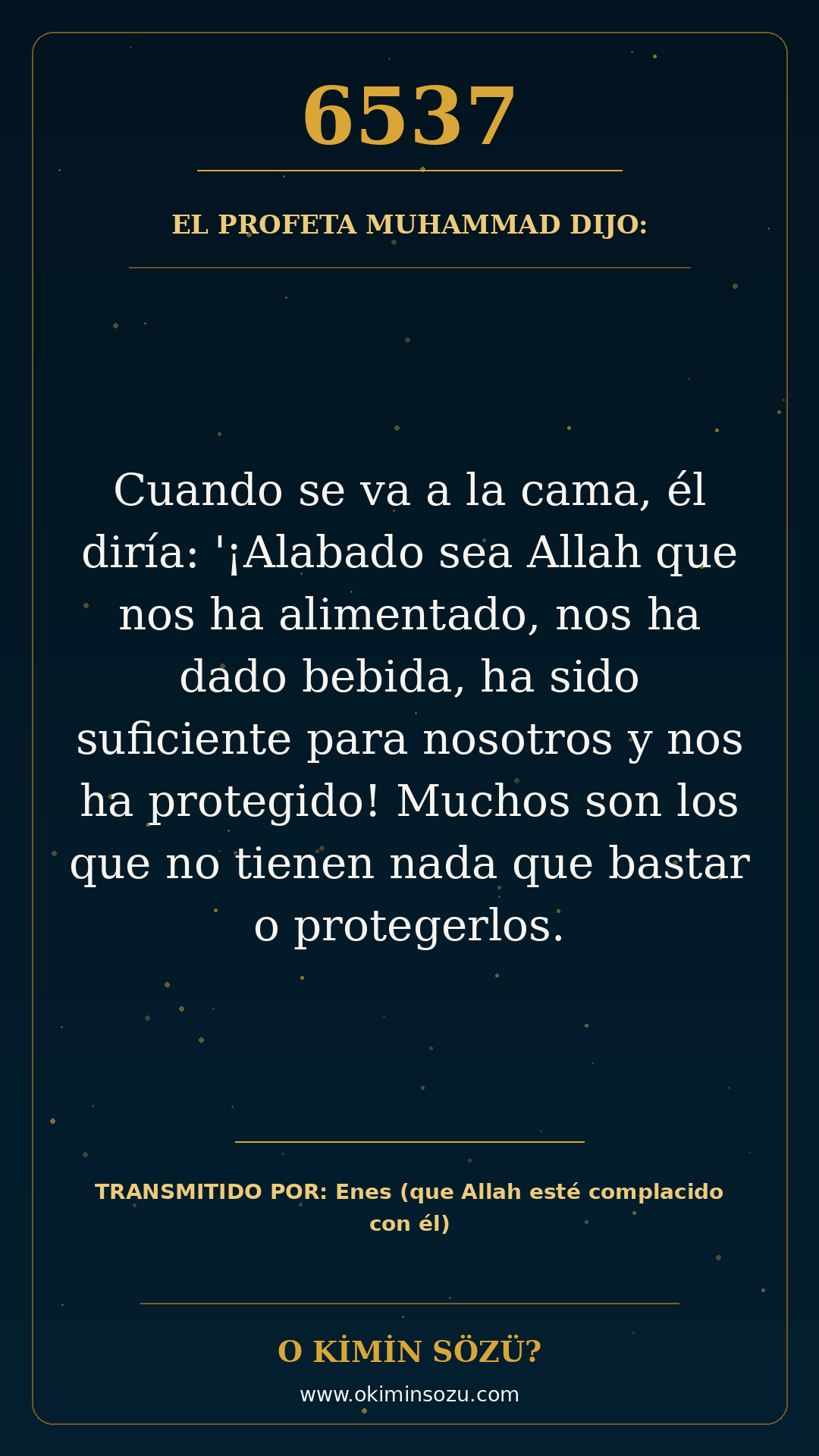 hadis 6537 es