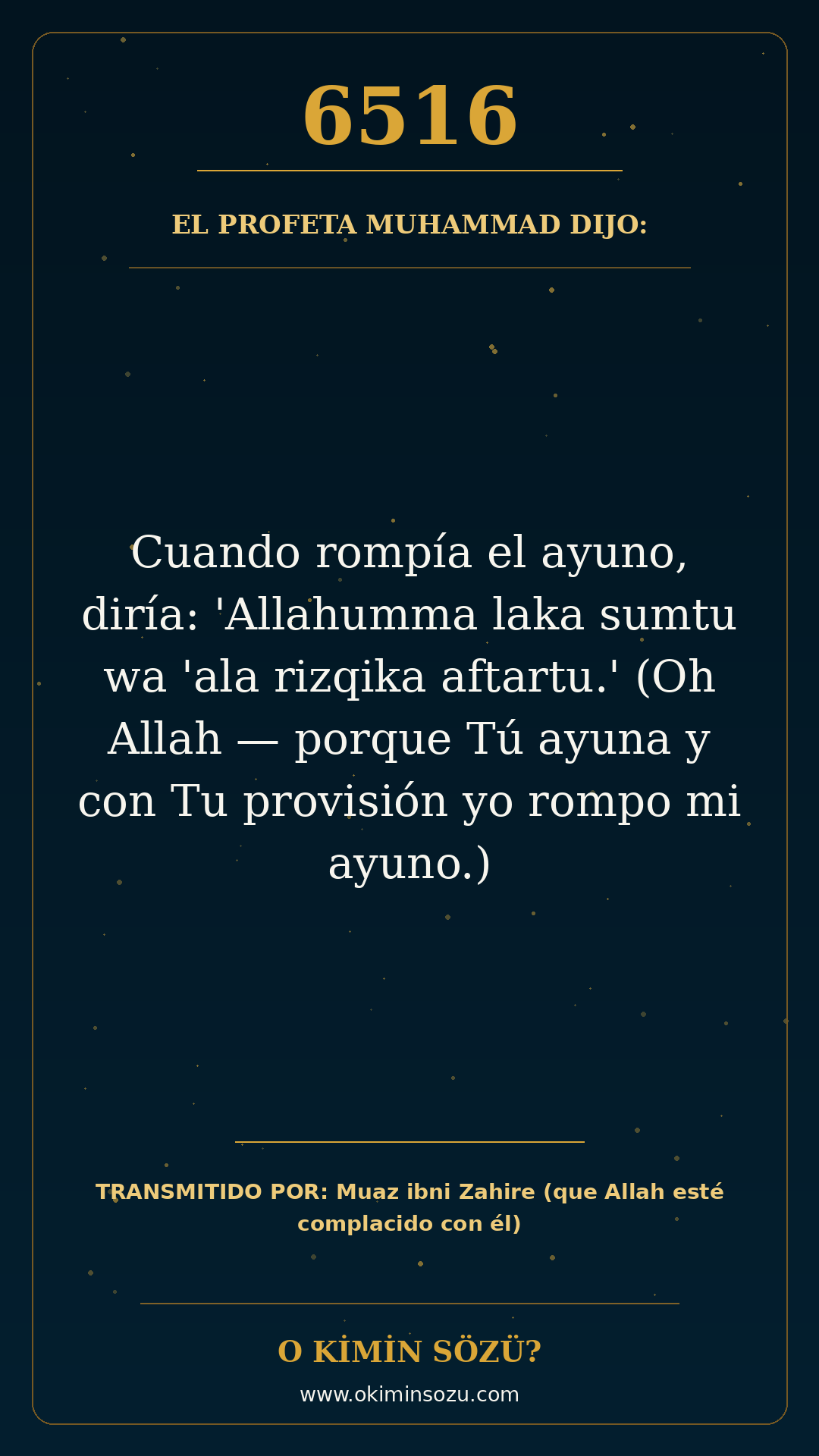 hadis 6516 es