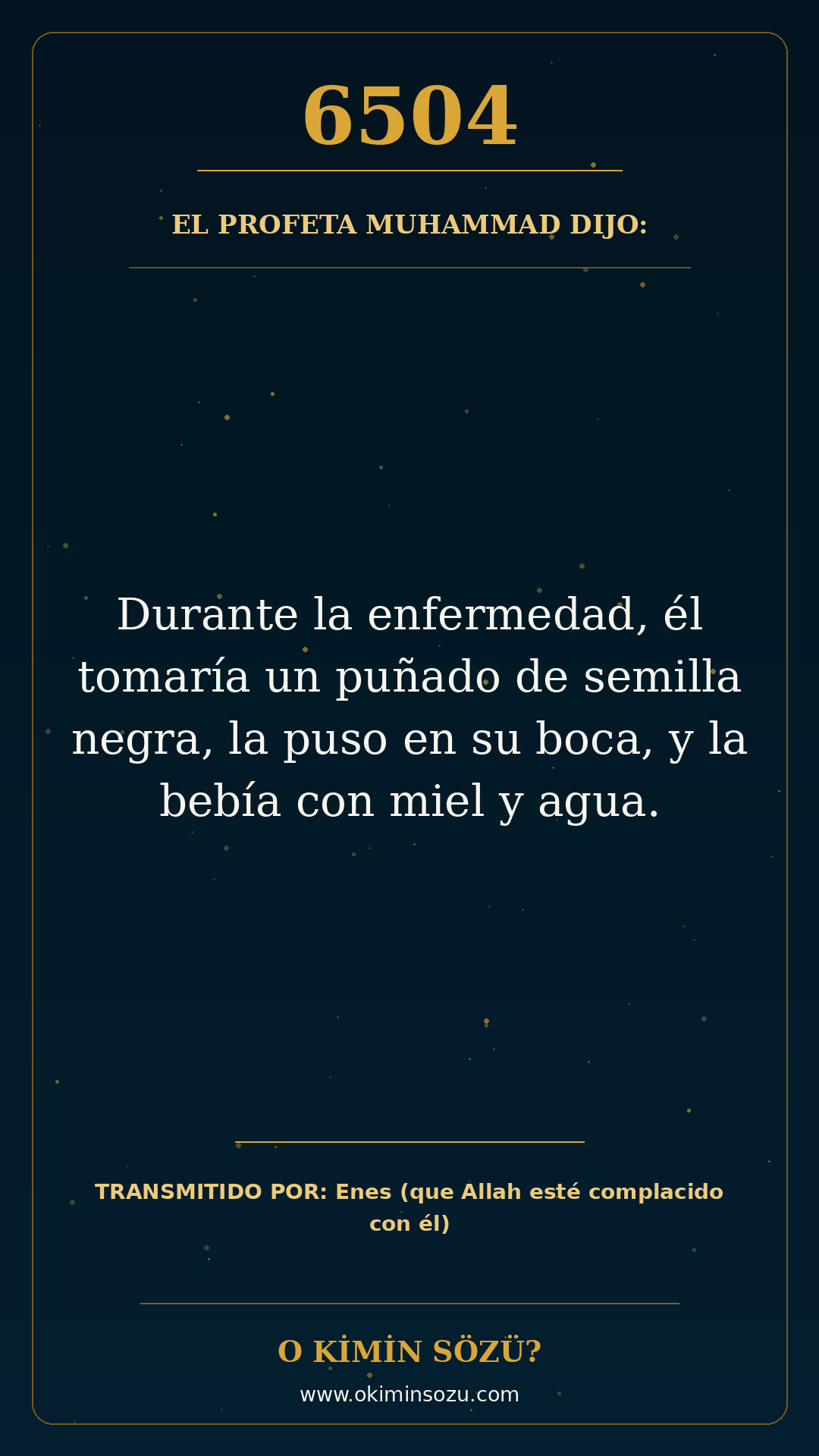 hadis 6504 es