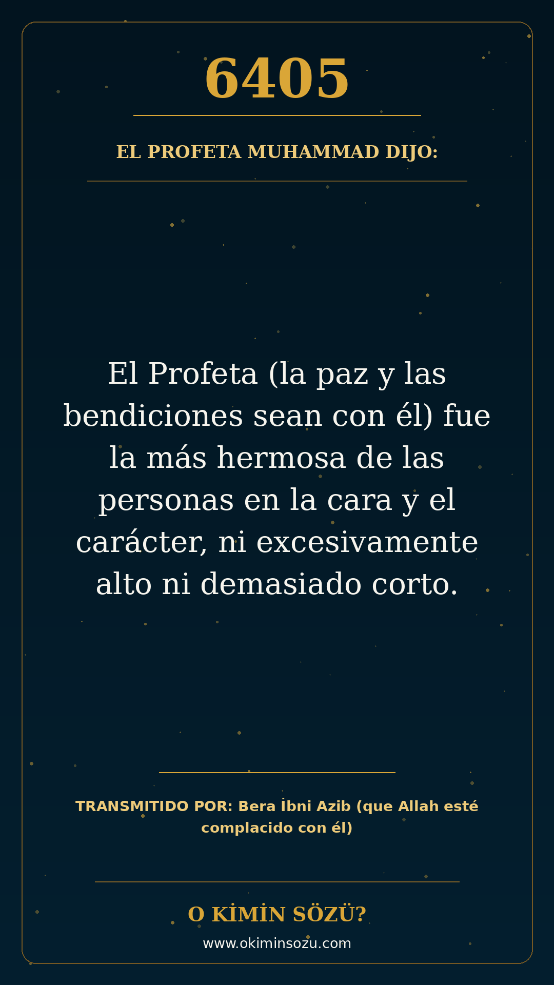 hadis 6405 es