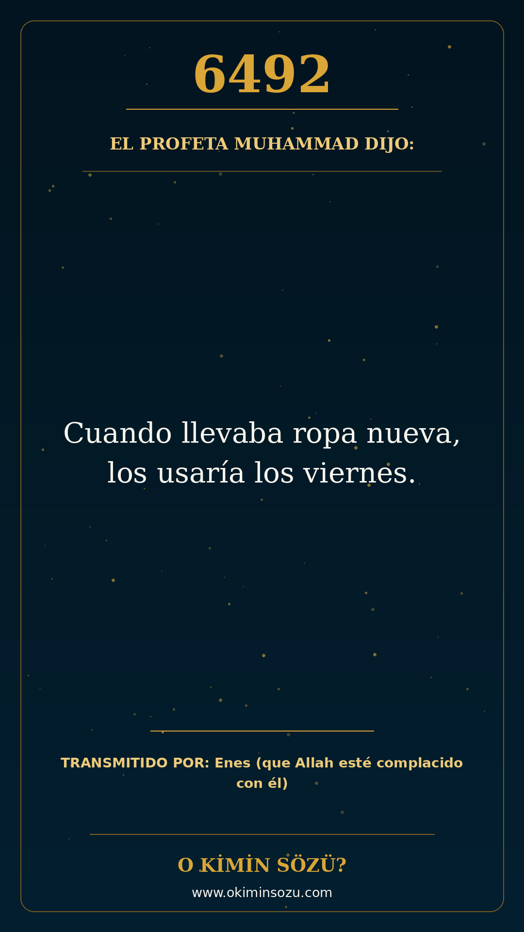hadis 6492 es