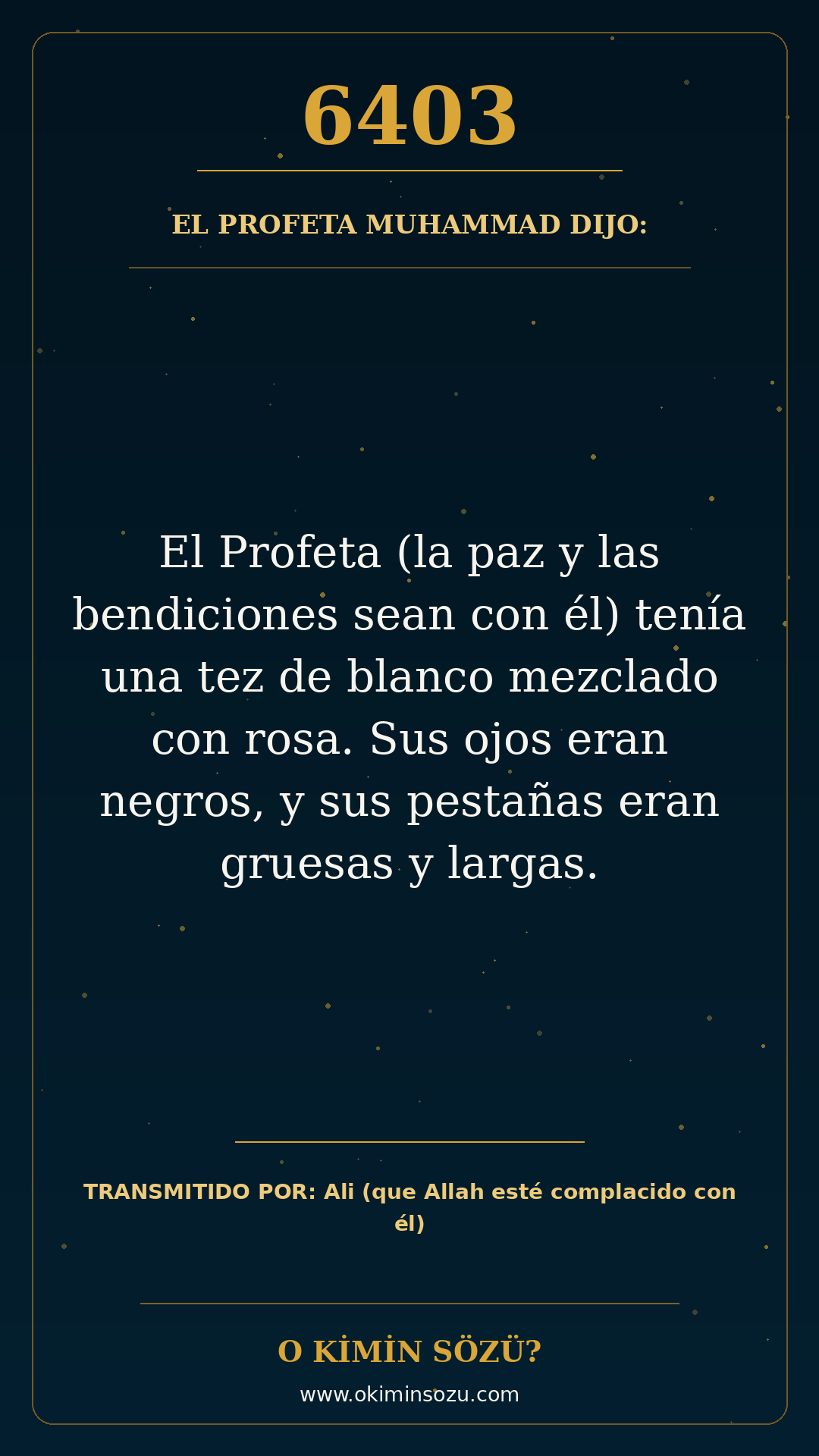 hadis 6403 es