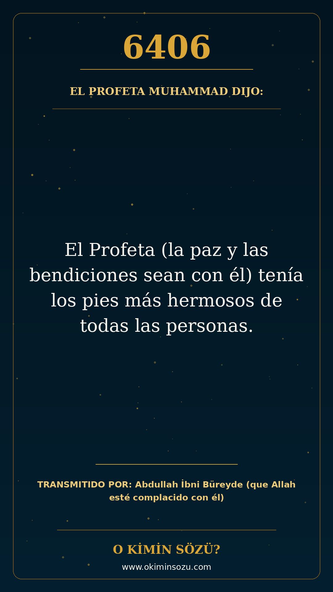 hadis 6406 es