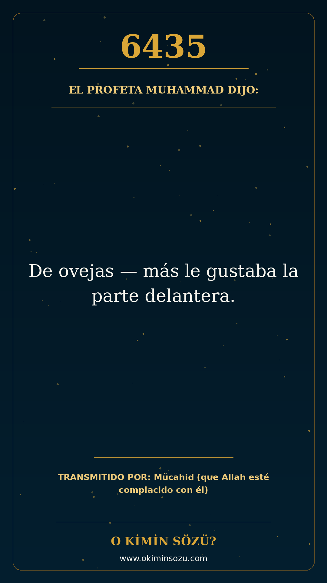 hadis 6435 es