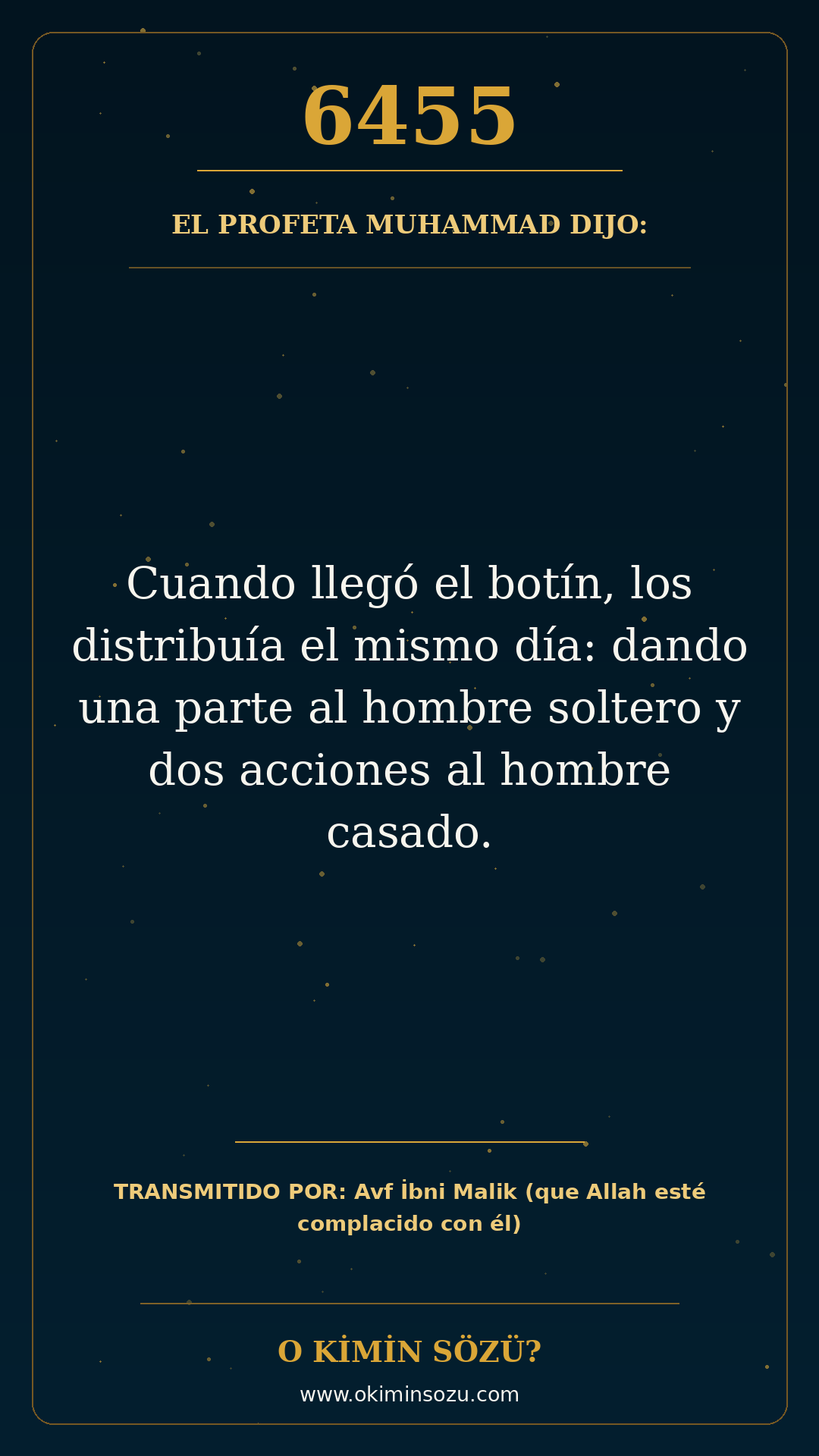 hadis 6455 es