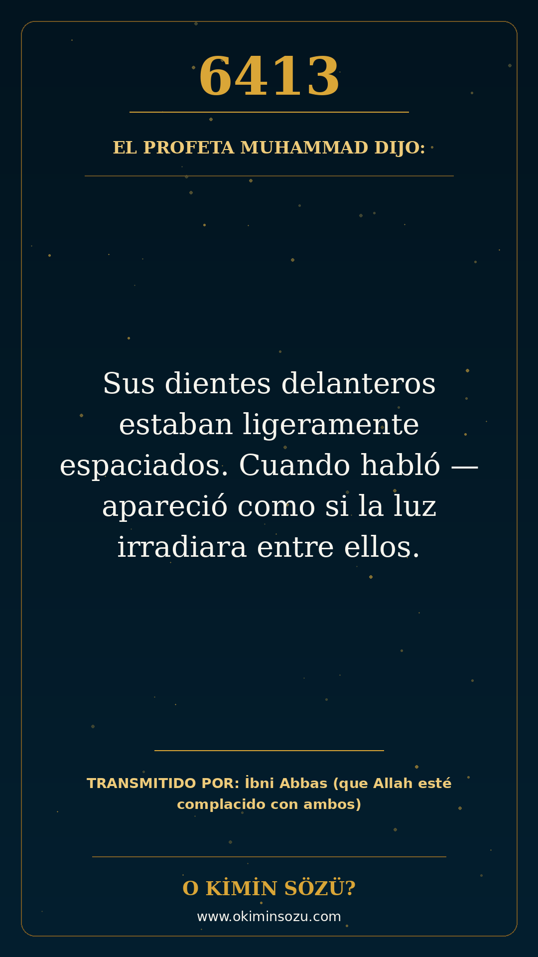 hadis 6413 es
