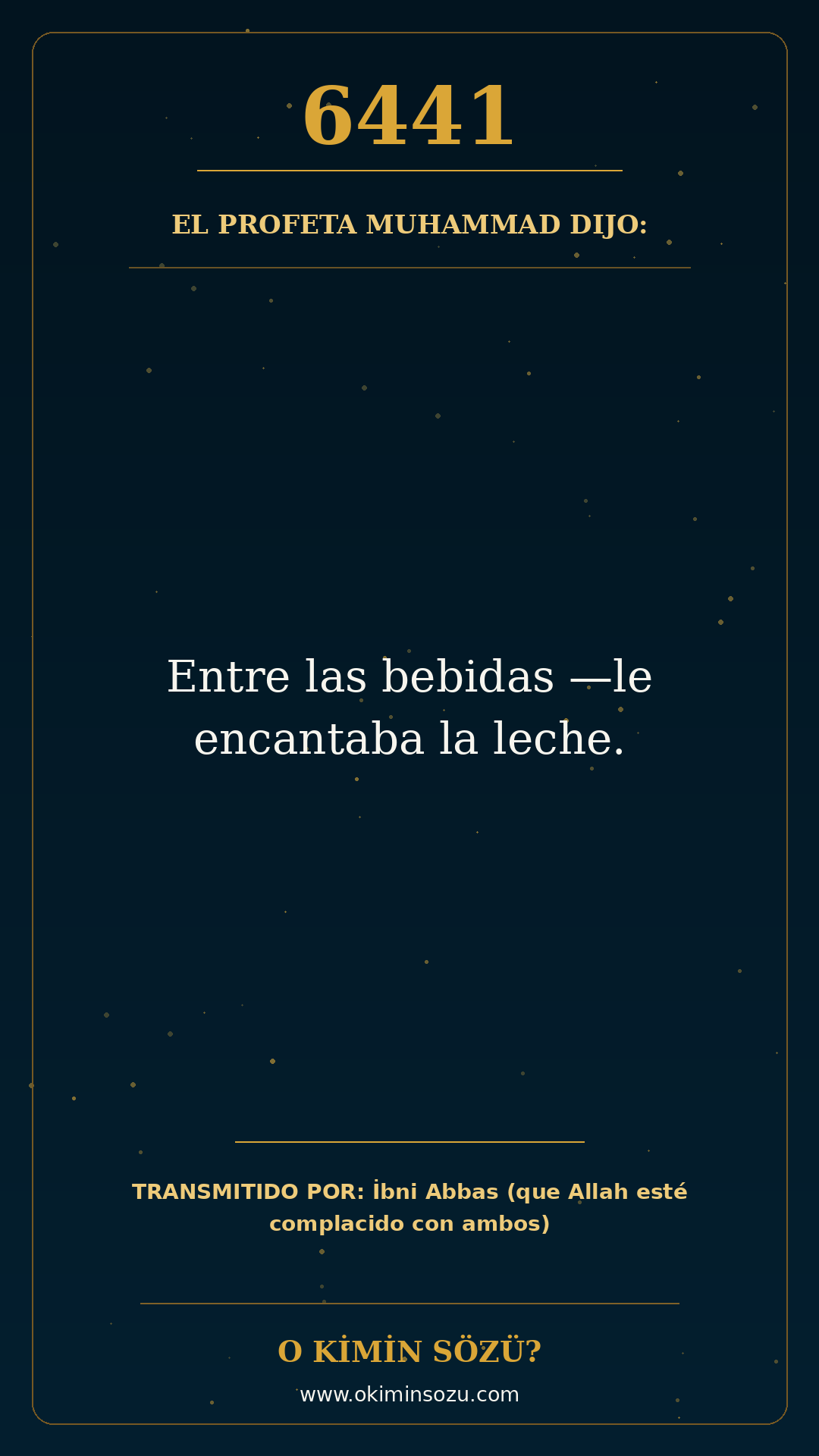 hadis 6441 es