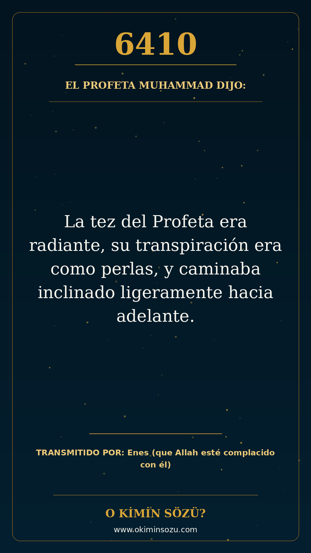 hadis 6410 es