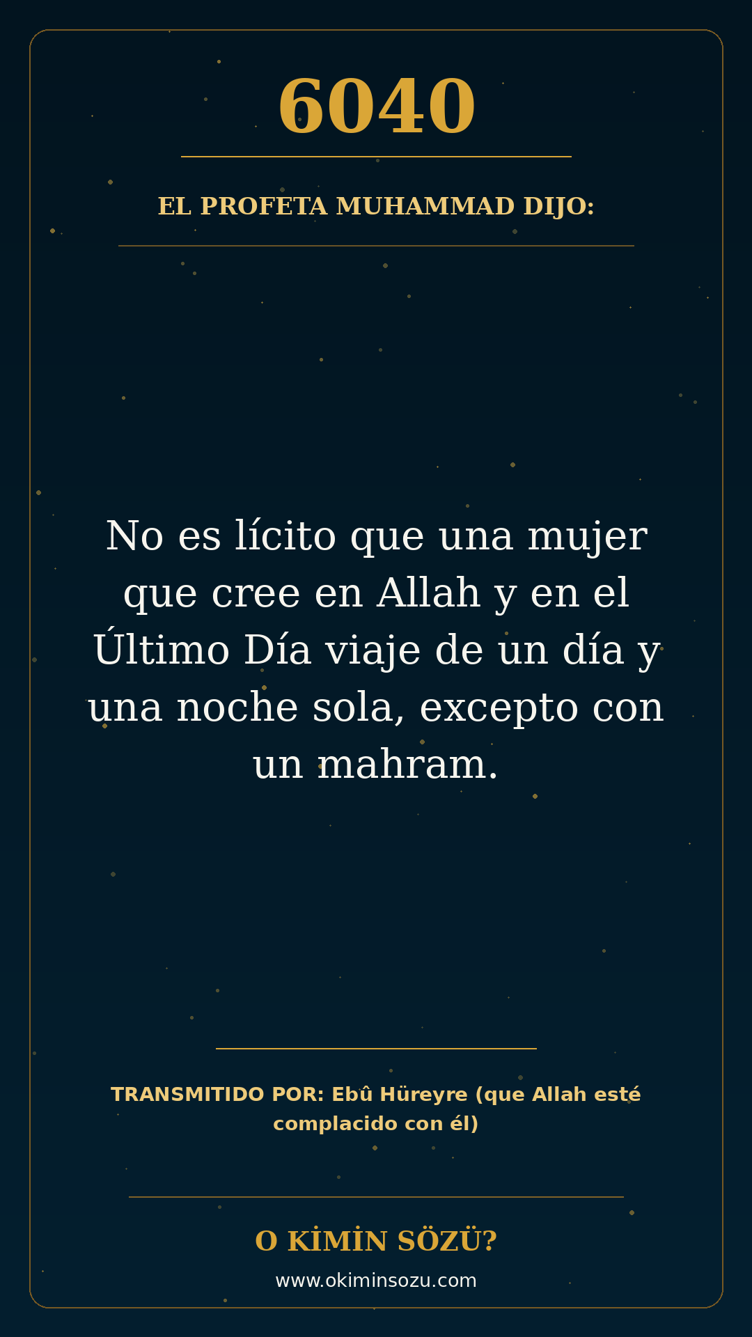 hadis 6040 es