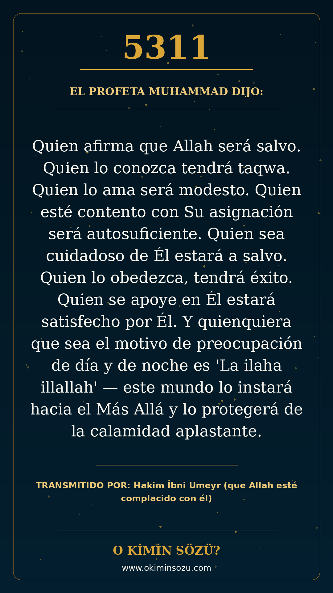 hadis 5311 es