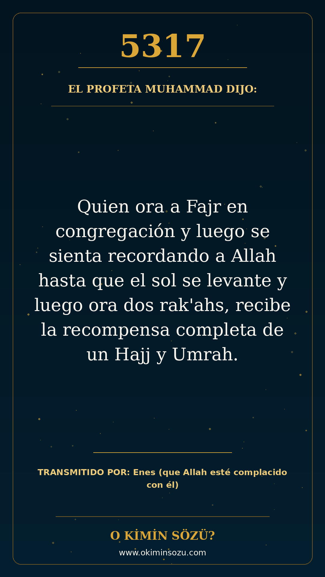 hadis 5317 es