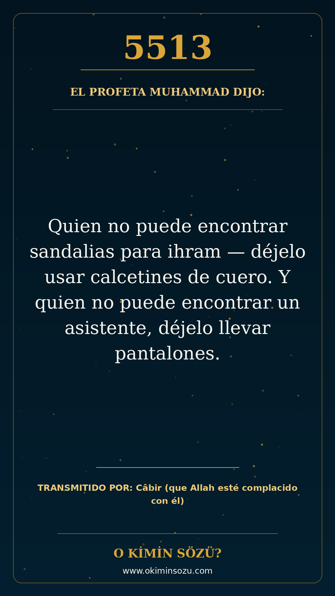 hadis 5513 es