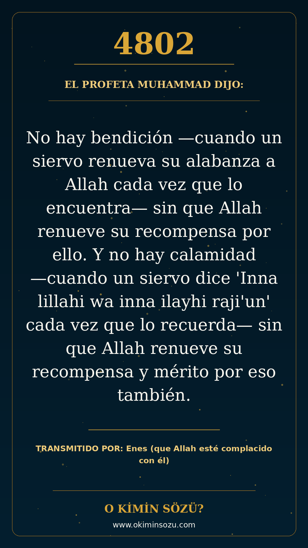 hadis 4802 es