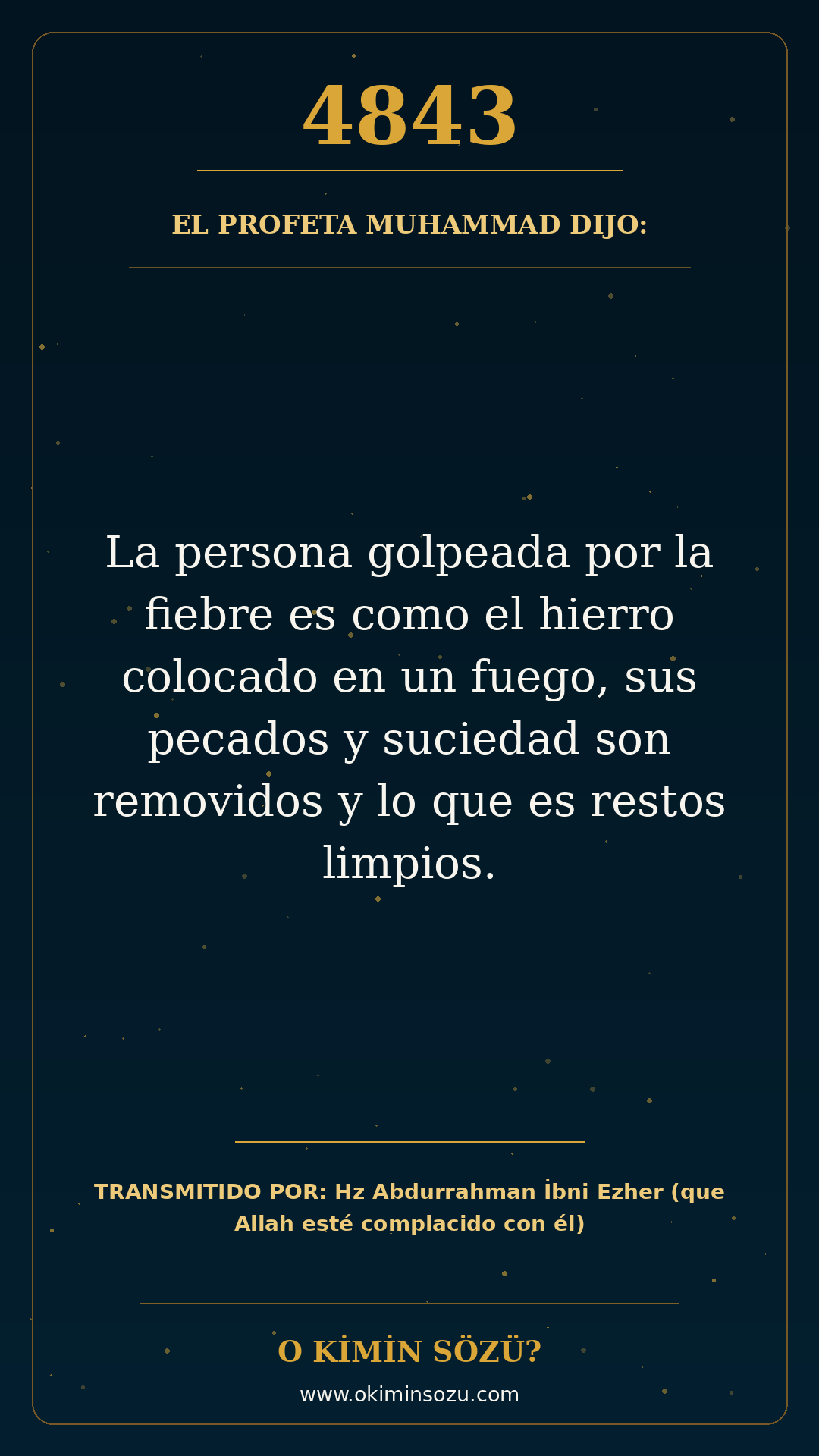 hadis 4843 es