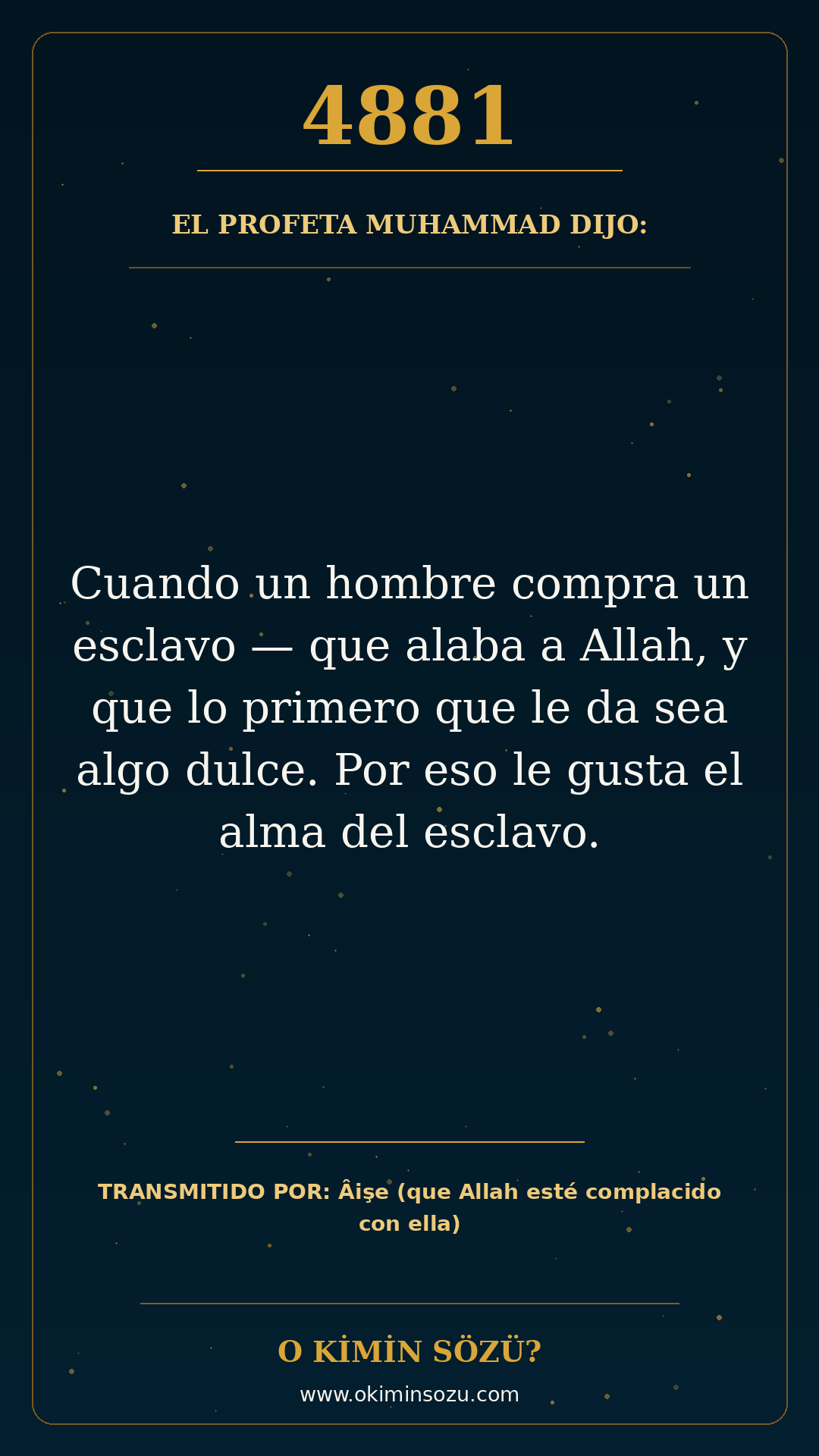 hadis 4881 es