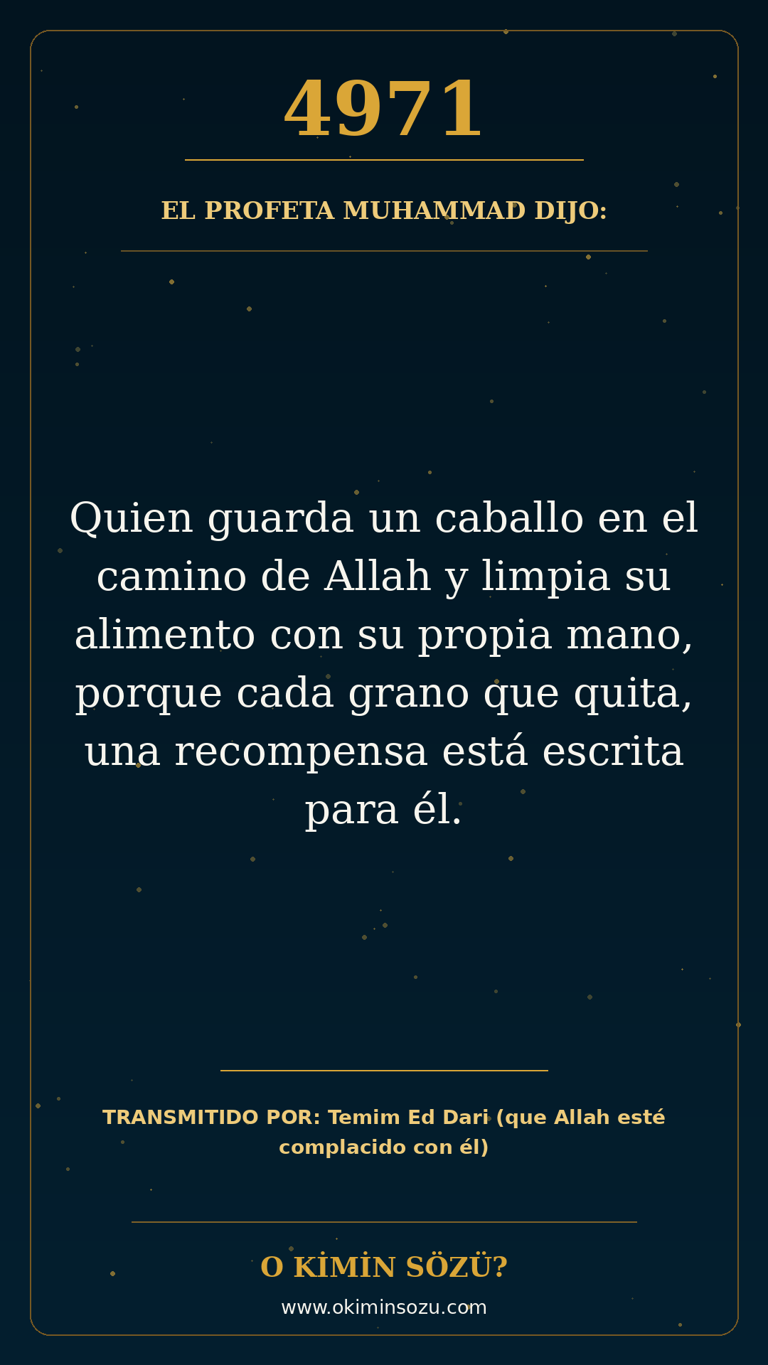 hadis 4971 es