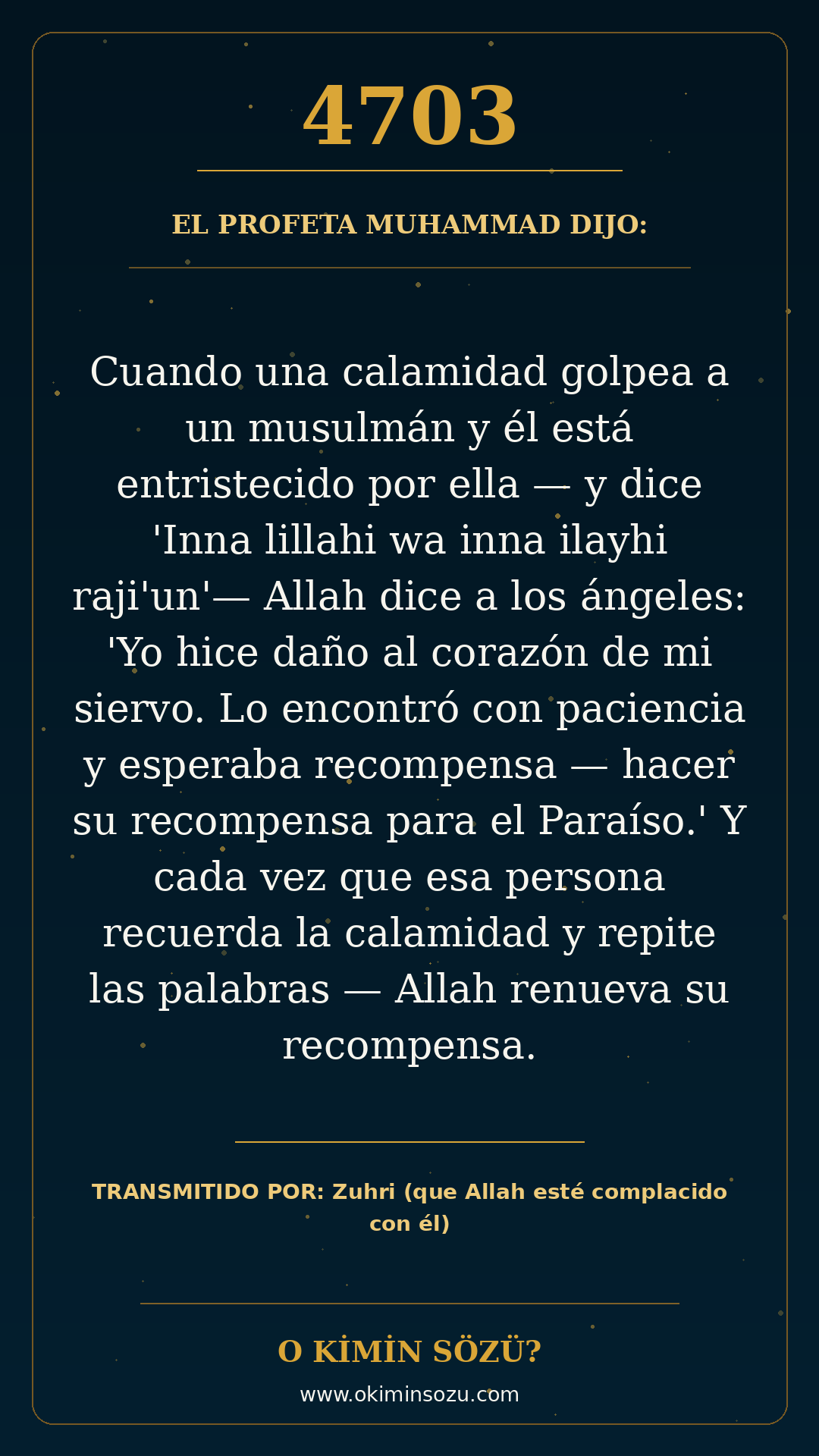 hadis 4703 es